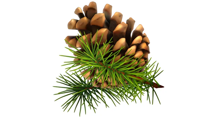 picnogenol-para-a-pele.webp